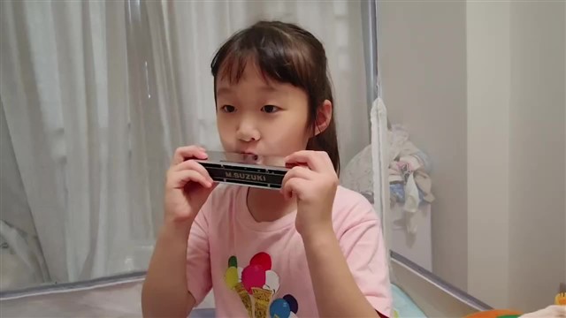 小毛驴
