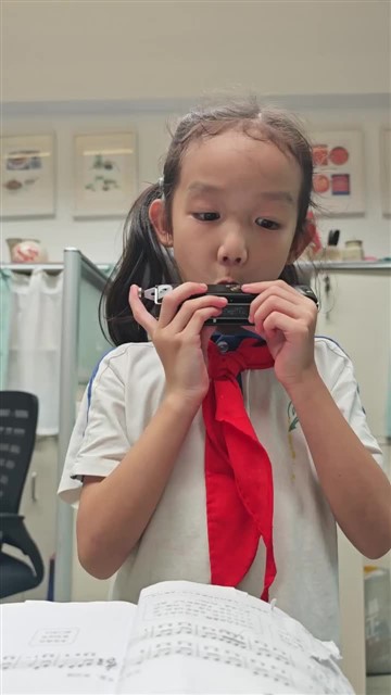 16.小毛驴
