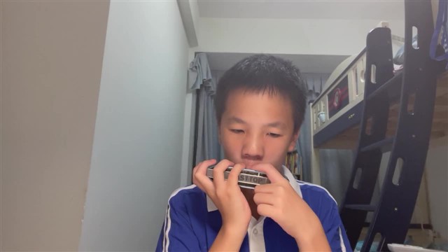164.匈牙利舞曲第五号