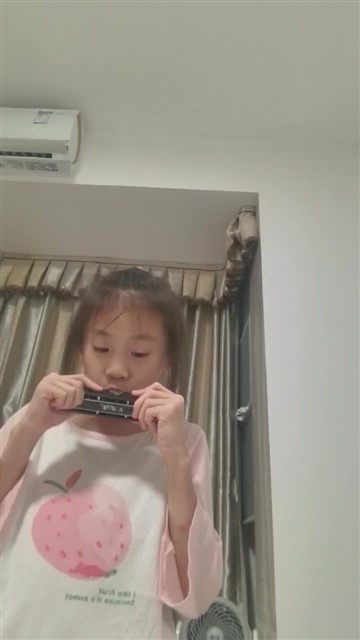 小毛驴