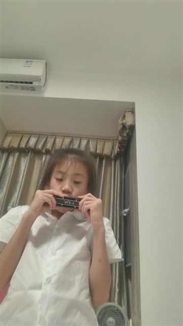 雁群飞