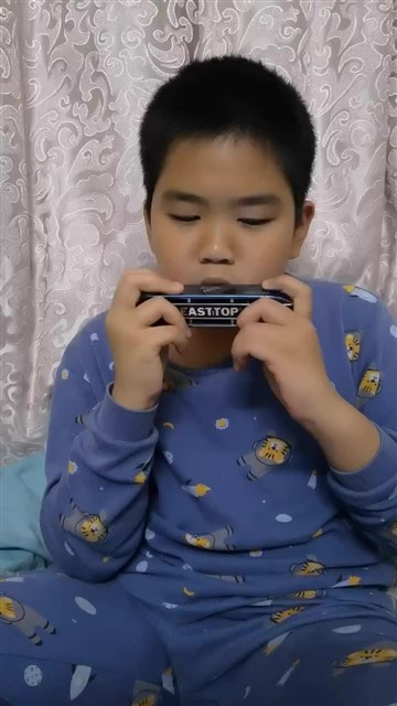 爱尔兰画眉