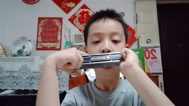 海顿小夜曲