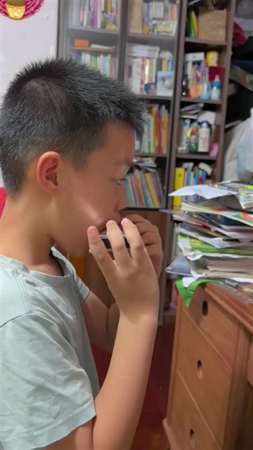 雪绒花