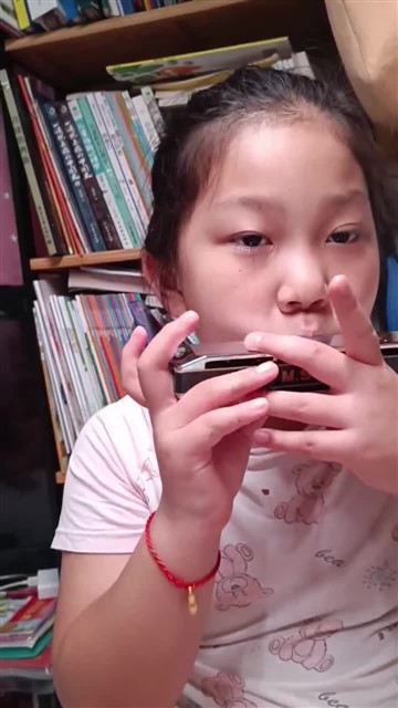 151.海顿小夜曲