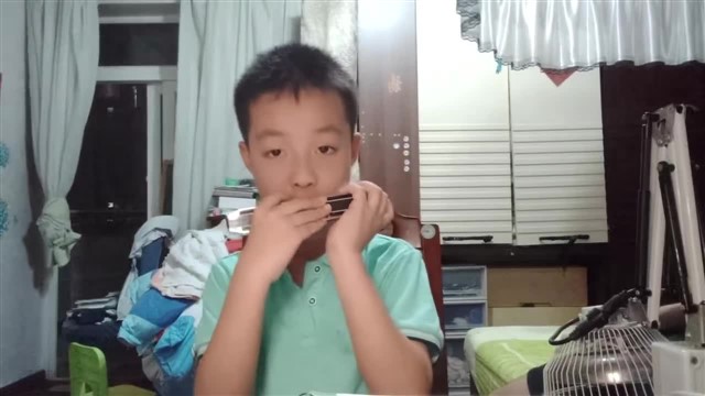 雪绒花