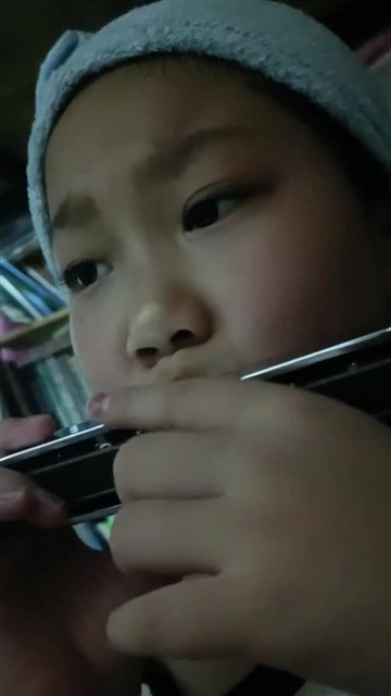 151.海顿小夜曲