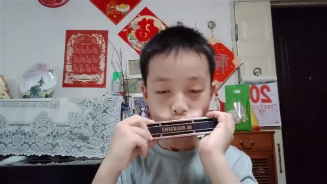 海顿小夜曲