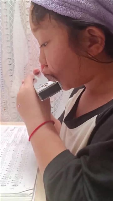 44半音阶 一个八度