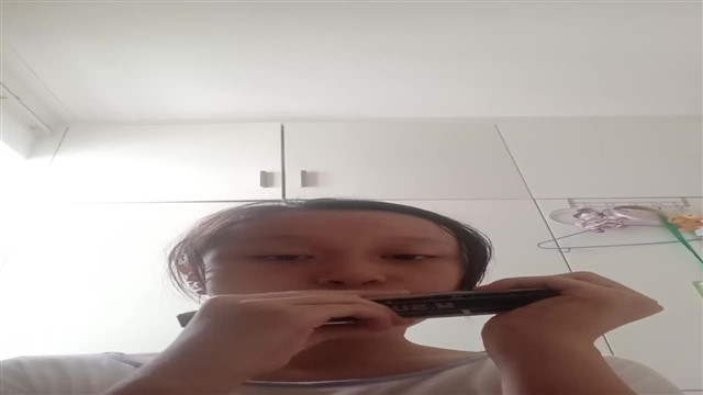 44.C大调半音阶