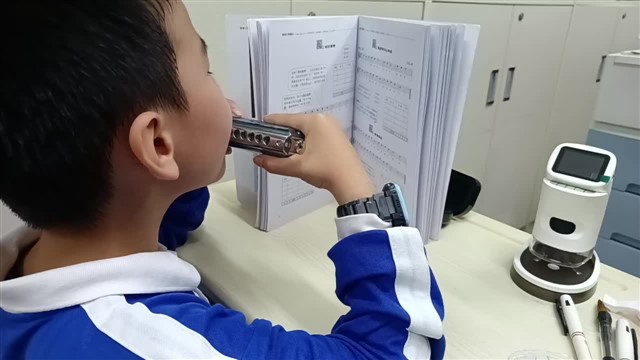 11月3日作业：5.玛丽有只小羊羔