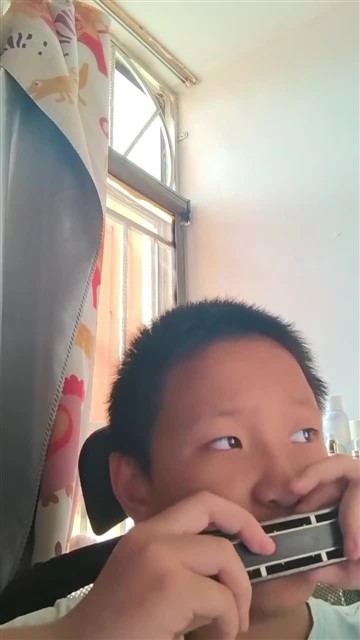 口琴D4-2025.11.11-15首