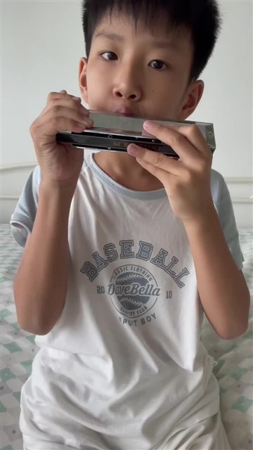 半音阶低音区一个八度