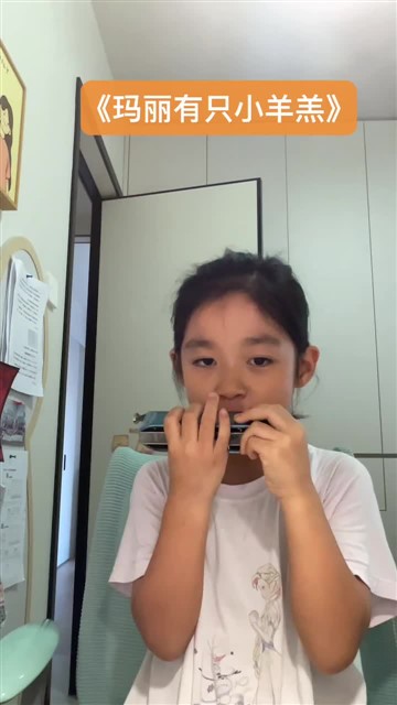 5.《玛丽有只小羊羔》11.09