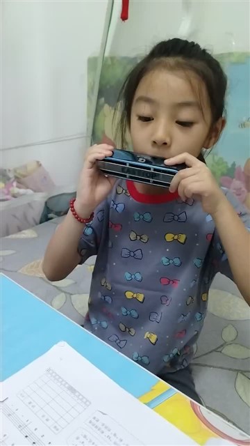 玛丽有只小羊羔3