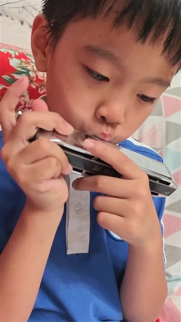 video_20251111_210224