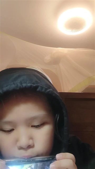 春天来了2025.11.29