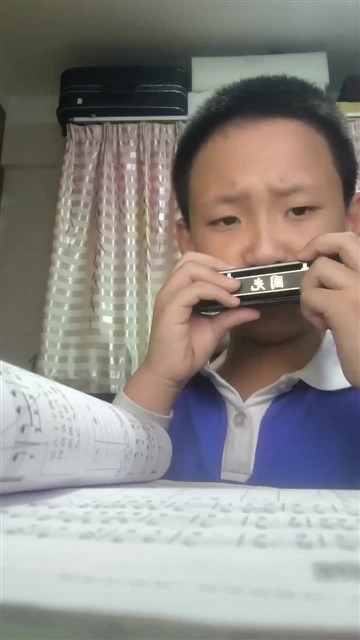 青青口琴D 20251202日作业 29首