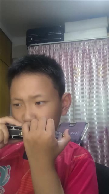 青青口琴D 20260317作业 29首