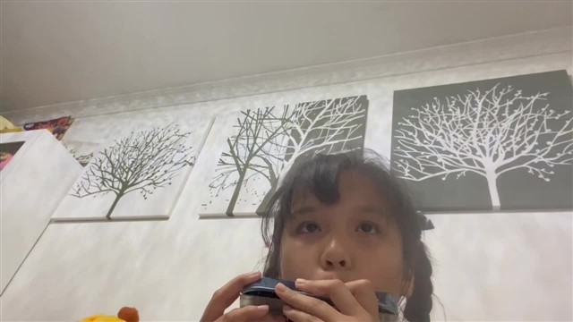 C大调半音阶
