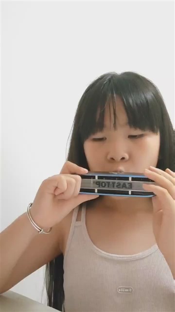 64.爱尔兰画眉