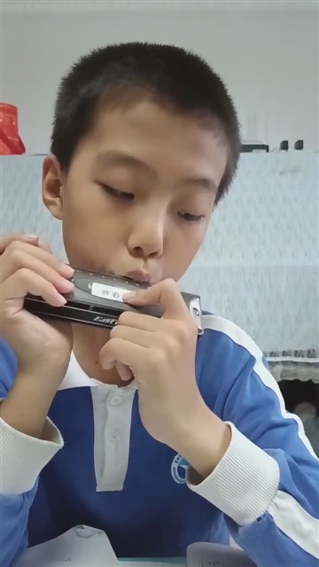 64爱尔兰画眉