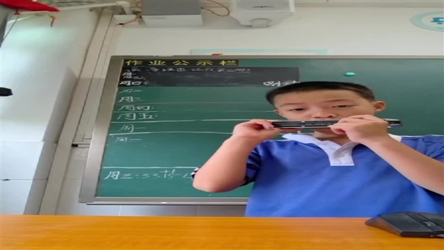 爱尔兰画眉。