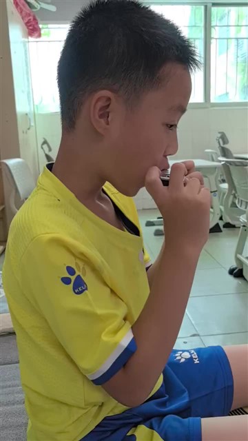 爱尔兰画眉。