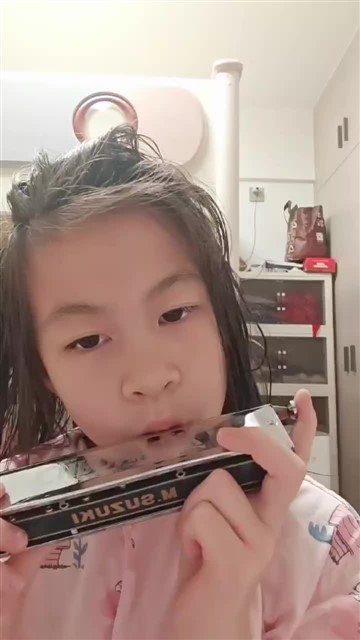 爱尔兰画眉