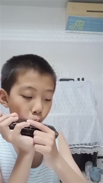 64爱尔兰画眉