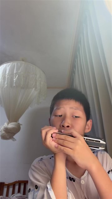 可爱的家