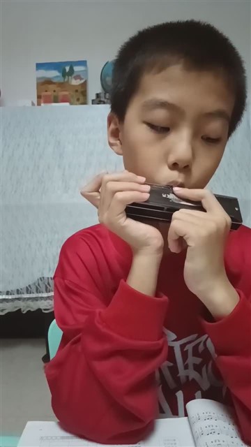 64爱尔兰画眉