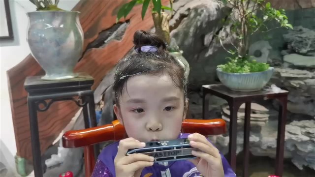 可爱的家