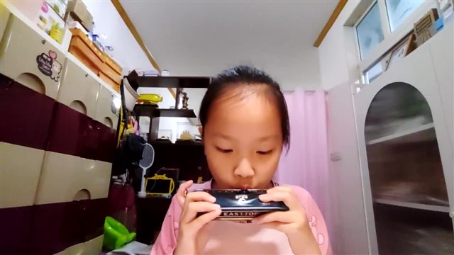 16.小毛驴