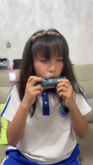 爱尔兰画眉