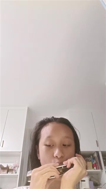 40.雁群飞