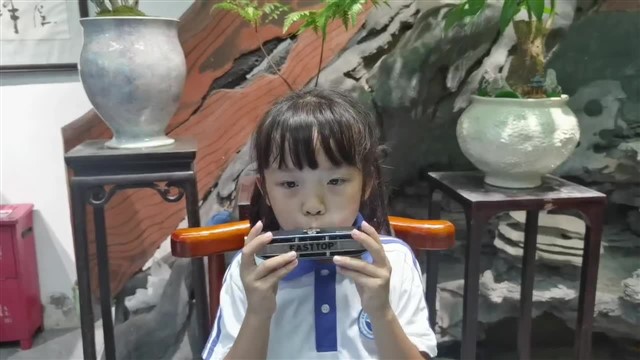 小毛驴