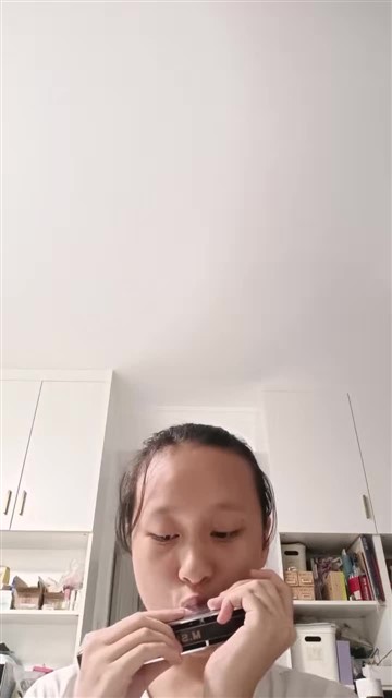 20.鲤鱼风筝