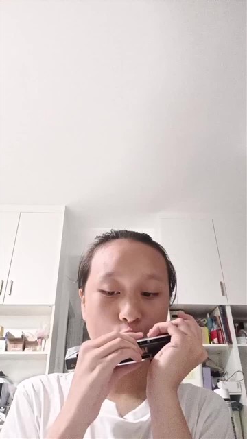 151.海顿小夜曲
