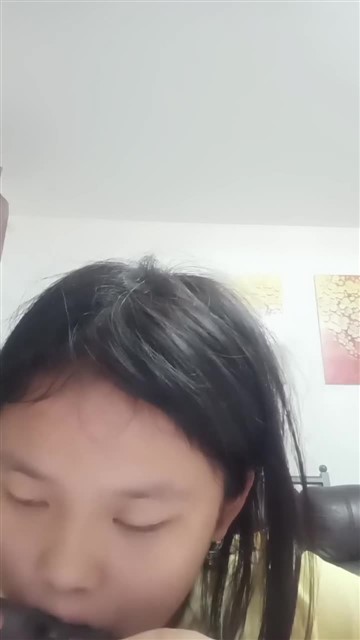 46.雪绒花