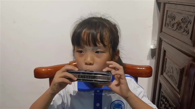 鲤鱼风筝