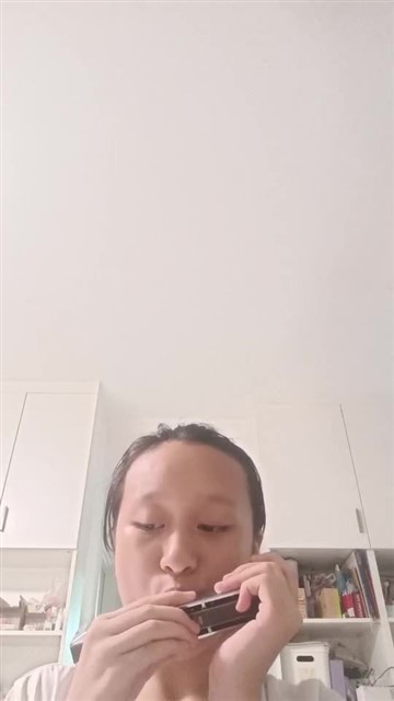91.水调歌头