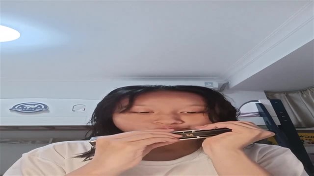 170.土耳其进行曲片段(100)