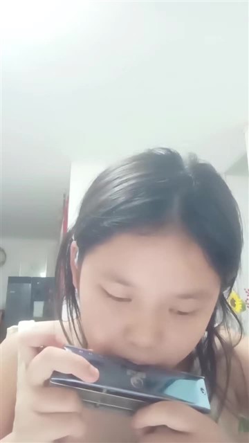 20.鲤鱼风筝