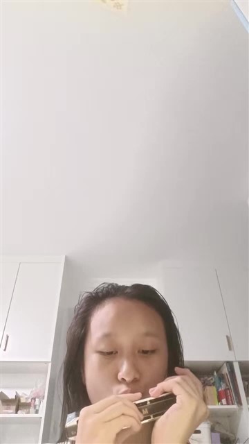 33.C大调半音阶