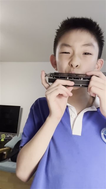 16.小毛驴