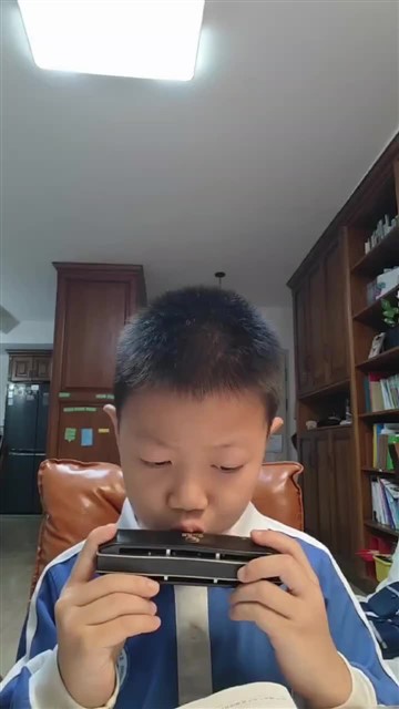 张珞笛小毛驴