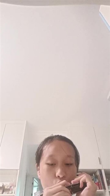 149.绿袖子