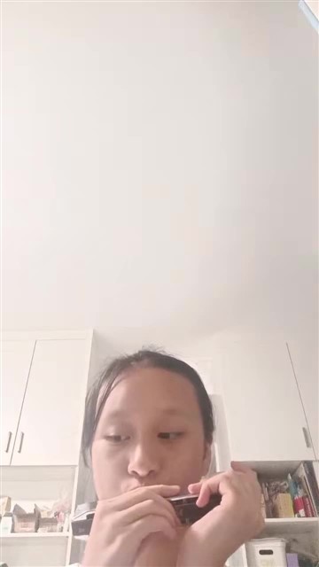 67.红蜻蜓