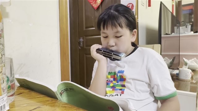 28采莲谣